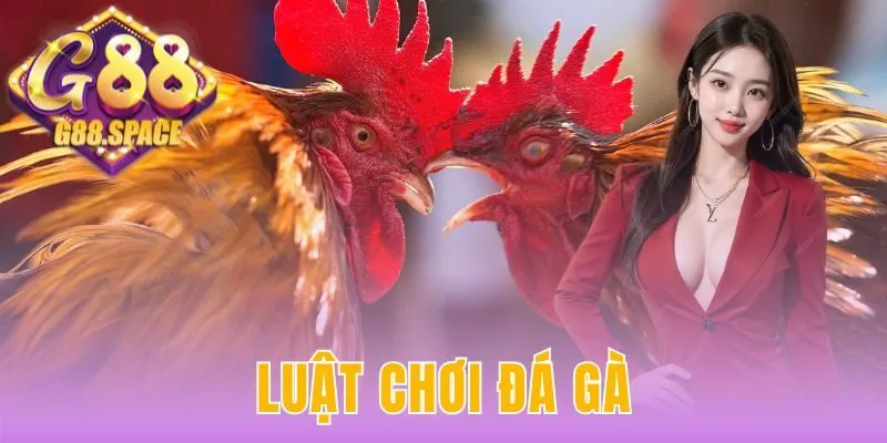 luật chơi đá gà