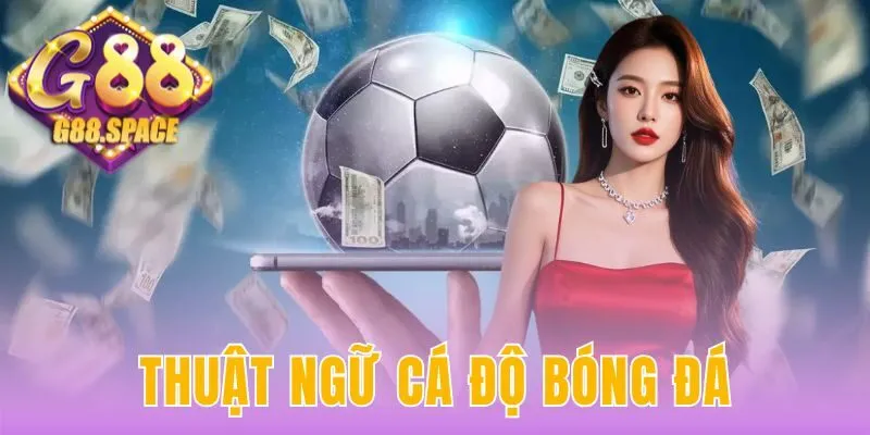 thuật ngữ cá độ bóng đá