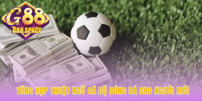 Tổng hợp thuật ngữ cá độ bóng đá gồm Odds và Cược Chấp